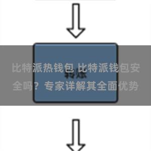 比特派热钱包 比特派钱包安全吗？专家详解其全面优势