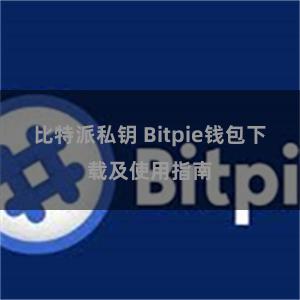 比特派私钥 Bitpie钱包下载及使用指南