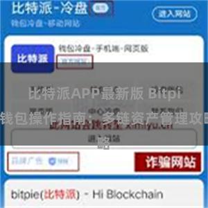 比特派APP最新版 Bitpie钱包操作指南：多链资产管理攻略