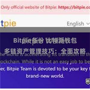 Bitpie备份 比特派钱包多链资产管理技巧：全面攻略