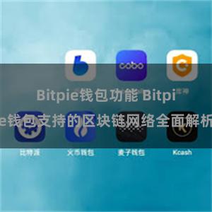 Bitpie钱包功能 Bitpie钱包支持的区块链网络全面解析