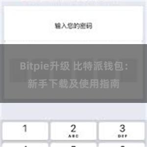 Bitpie升级 比特派钱包：新手下载及使用指南