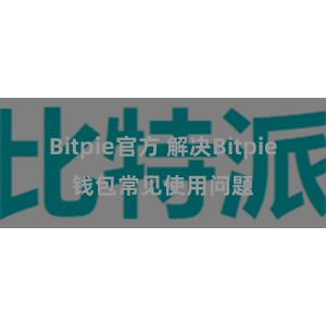 Bitpie官方 解决Bitpie钱包常见使用问题