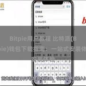 Bitpie用户教程 比特派(Bitpie)钱包下载指南：一站式安装体验