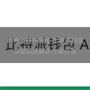 比特派转账教程 比特派钱包交易延迟解决方案分享