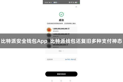 比特派安全钱包App  比特派钱包还复旧多种支付神态