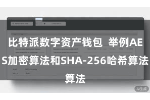 比特派数字资产钱包  举例AES加密算法和SHA-256哈希算法