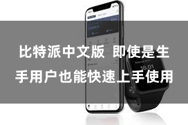 比特派中文版  即使是生手用户也能快速上手使用