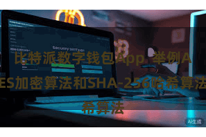 比特派数字钱包App  举例AES加密算法和SHA-256哈希算法