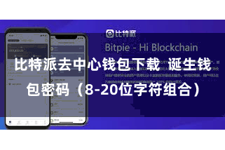 比特派去中心钱包下载  诞生钱包密码（8-20位字符组合）