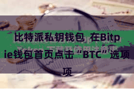 比特派私钥钱包  在Bitpie钱包首页点击“BTC”选项