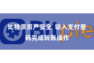 比特派资产安全  输入支付密码完成转账操作